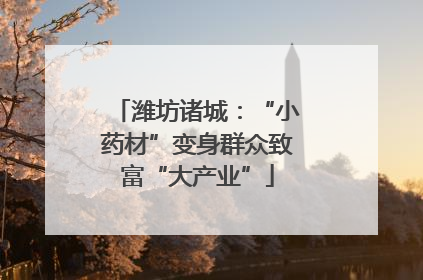 潍坊诸城：“小药材”变身群众致富“大产业”