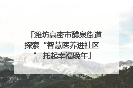 潍坊高密市醴泉街道探索“智慧医养进社区” 托起幸福晚年