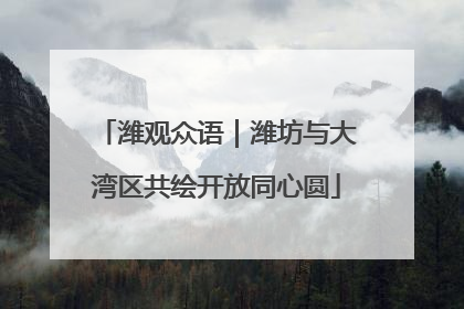 潍观众语｜潍坊与大湾区共绘开放同心圆