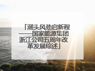 潮头风劲启新程——国家能源集团浙江公司五周年改革发展综述
