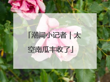 潮闻小记者｜太空南瓜丰收了