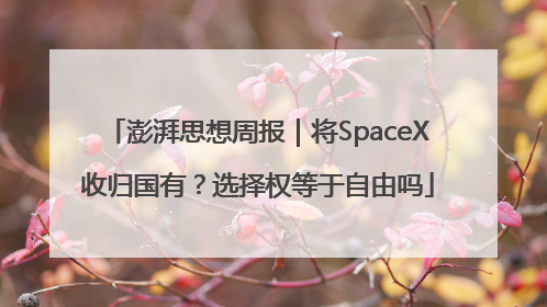 澎湃思想周报｜将SpaceX收归国有？选择权等于自由吗