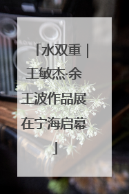 水双重｜王敏杰·余王波作品展在宁海启幕