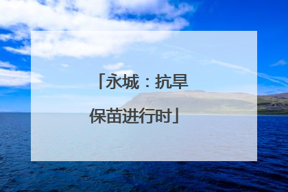 永城：抗旱保苗进行时