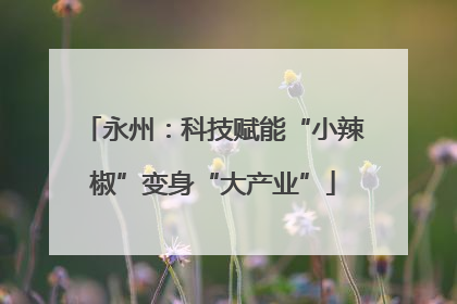 永州：科技赋能“小辣椒”变身“大产业”