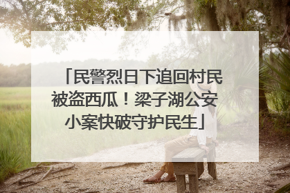 民警烈日下追回村民被盗西瓜！梁子湖公安小案快破守护民生