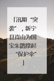 汛期“突袭”，新宁县崀山为国宝朱鹮撑起“保护伞”