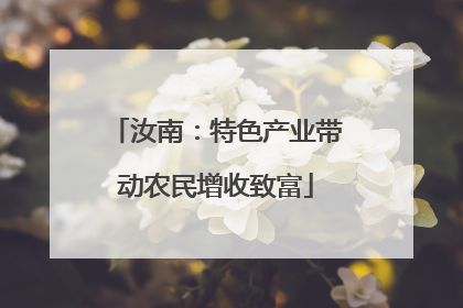 汝南：特色产业带动农民增收致富