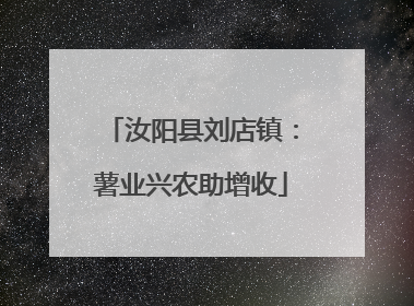 汝阳县刘店镇：薯业兴农助增收