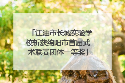 江油市长城实验学校斩获绵阳市首届武术联赛团体一等奖