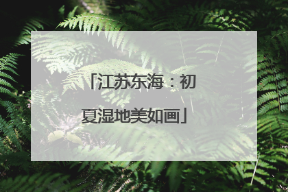 江苏东海：初夏湿地美如画