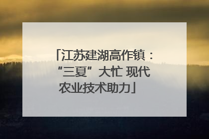 江苏建湖高作镇：“三夏”大忙 现代农业技术助力