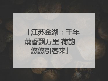 江苏金湖：千年藕香飘万里 荷韵悠悠引客来
