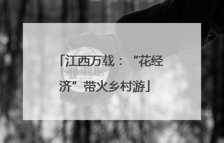 江西万载：“花经济”带火乡村游