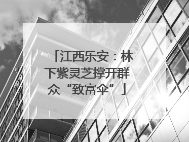 江西乐安：林下紫灵芝撑开群众“致富伞”