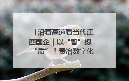 沿着高速看当代江西国企｜以“智”提“质”！贵冶数字化转型迈出新步伐