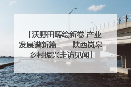 沃野田畴绘新卷 产业发展谱新篇——陕西岚皋乡村振兴走访见闻