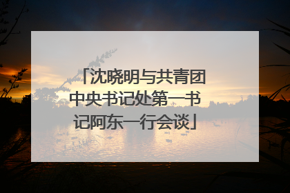 沈晓明与共青团中央书记处第一书记阿东一行会谈
