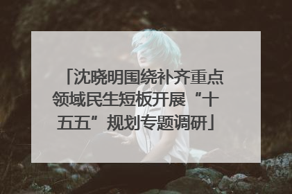 沈晓明围绕补齐重点领域民生短板开展“十五五”规划专题调研