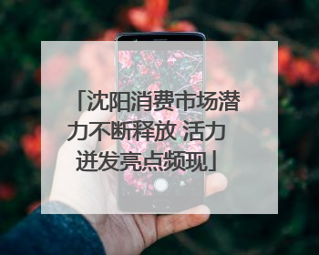 沈阳消费市场潜力不断释放 活力迸发亮点频现