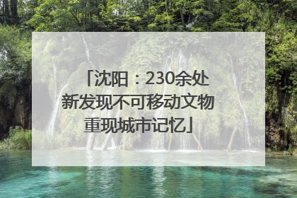 沈阳：230余处新发现不可移动文物重现城市记忆