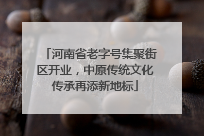 河南省老字号集聚街区开业，中原传统文化传承再添新地标