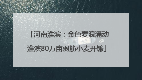 河南淮滨：金色麦浪涌动 淮滨80万亩弱筋小麦开镰