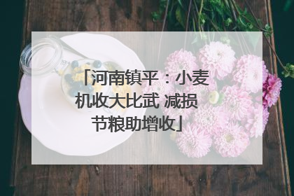 河南镇平：小麦机收大比武 减损节粮助增收
