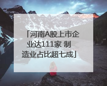 河南A股上市企业达111家 制造业占比超七成