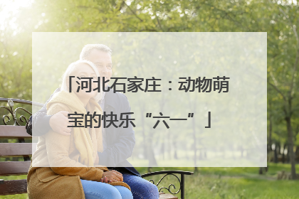 河北石家庄：动物萌宝的快乐“六一”