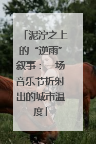 泥泞之上的“逆雨”叙事：一场音乐节折射出的城市温度