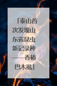 泰山首次发现山东省昆虫新记录种——香椿巴木虱