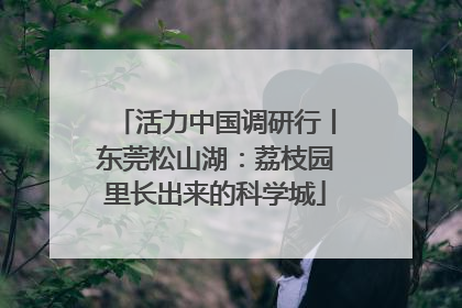 活力中国调研行丨东莞松山湖：荔枝园里长出来的科学城