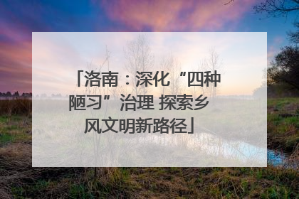 洛南：深化“四种陋习”治理 探索乡风文明新路径
