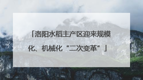 洛阳水稻主产区迎来规模化、机械化“二次变革”