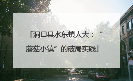 洞口县水东镇人大：“蘑菇小镇”的破局实践