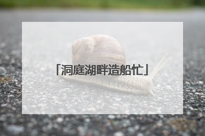 洞庭湖畔造船忙