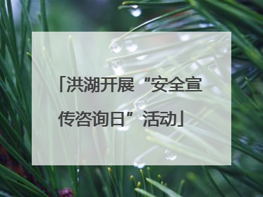 洪湖开展“安全宣传咨询日”活动