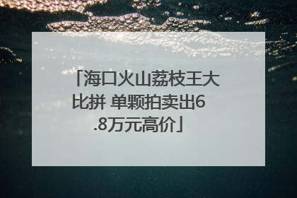 海口火山荔枝王大比拼 单颗拍卖出6.8万元高价