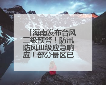 海南发布台风三级预警！防汛防风Ⅲ级应急响应！部分景区已停业→