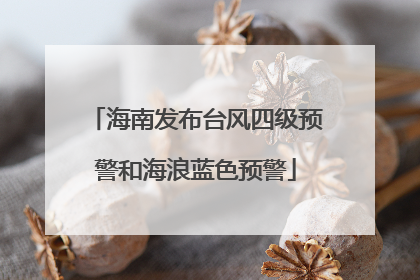 海南发布台风四级预警和海浪蓝色预警