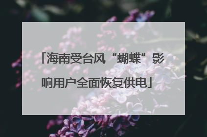 海南受台风“蝴蝶”影响用户全面恢复供电