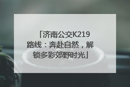 济南公交K219路线：奔赴自然，解锁多彩郊野时光