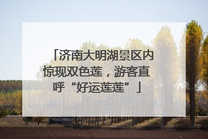 济南大明湖景区内惊现双色莲，游客直呼“好运莲莲”