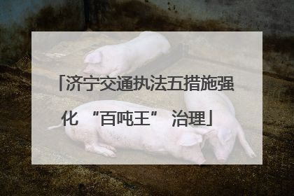 济宁交通执法五措施强化 “百吨王” 治理