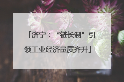 济宁：“链长制”引领工业经济量质齐升