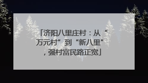 济阳八里庄村：从“万元村”到“新八里”，强村富民路正宽
