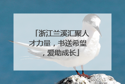 浙江兰溪汇聚人才力量，书送希望，爱助成长