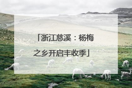 浙江慈溪：杨梅之乡开启丰收季