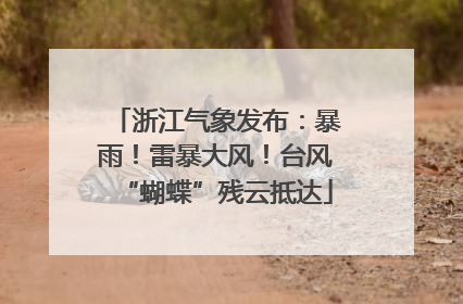 浙江气象发布：暴雨！雷暴大风！台风“蝴蝶”残云抵达